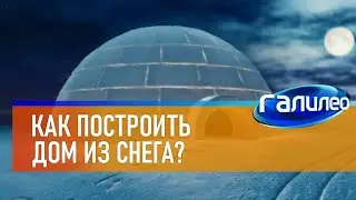 Галилео ☃ Как построить дом из снега?