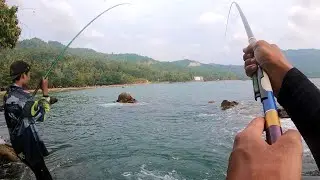 Ini Yang Kalian Cari ‼️ Mancing Tegek Panen ikan Besar Di Laut