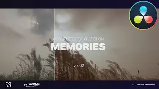 Cinematic Memories LUTs ★ DaVinci Resolve Templates ★