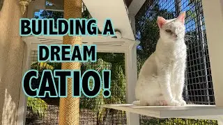 Building a Catio for my Cats (From Start to Finish!)