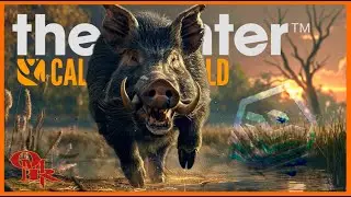 WILD BOAR & Good Friends! - theHunter: Call of the Wild