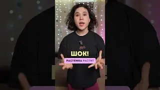 🤯 Растяжка растит мышцы так же эффективно, как силовая тренировка?