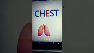 Chest diagram in Ms Word with shortcut key 