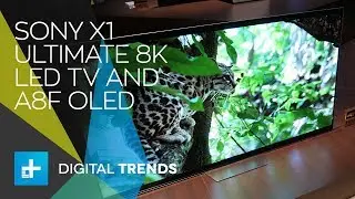 Sony X1 Ultimate 8K LED TV and A8F OLED -  Hands On at CES 2018