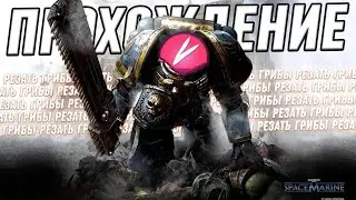 🔴 СЮЖЕТКА SPACE MARINE