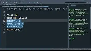 lesson 12 : Binary , Octal and Hexadecimal conversion in python with example | Number representation