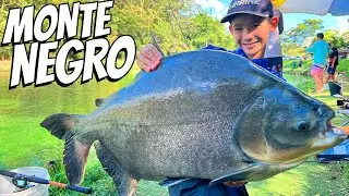 PESQUEIRO MONTE NEGRO, O LAGO DOS GIGANTES!