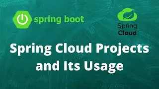 Spring Cloud Projects and Its Usage