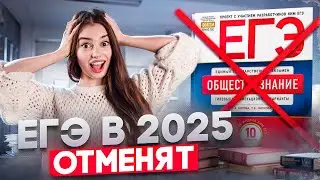 Отменят ли ЕГЭ по обществознанию в 2025 году? | Маша Вайб | ЕГЭFlex