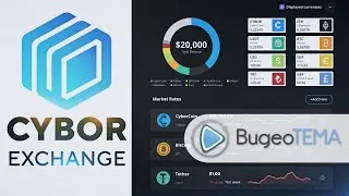 Заказать видеоролик | Заказать видео инфографику | Инфографика для сайта [Cybor Exchange]