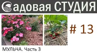 Все о мульчировании. Часть 3 Трудности мульчирования