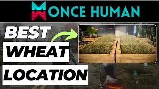 Once Human Best WHEAT Location How To Get Wheat (2024 Updated)