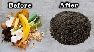 Stop Buying Compost. Perfect Way To Make Your Own Compost At Home