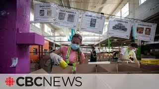 Millions of Canadians turn to food banks as cost of living soars