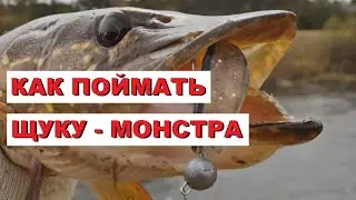 Как ПОЙМАТЬ ЩУКУ-МОНСТРА ЛЕТОМ / SeMano TV