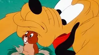 Pluto and the Gopher | A Classic Mickey Short | Have A Laugh