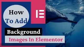 How To Add Background Images In Elementor WordPress | Background Images Overlay