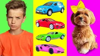 Mark and cars 43 minutes video with dog