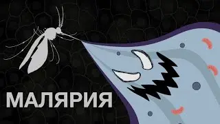 Малярия: Танзания туда и (возможно) обратно