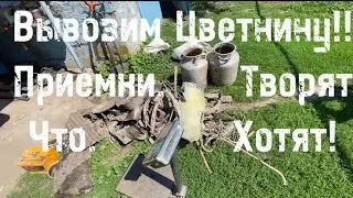 Приемки Рисуют Цены кто на что горазд! Актуальный прайс лист на 30.06.2024года!