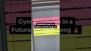 Future & Lil Uzi Vert used one of our loops!