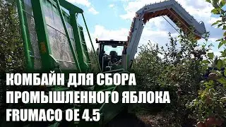 Комбайн для сбора промышленного яблока на переработку