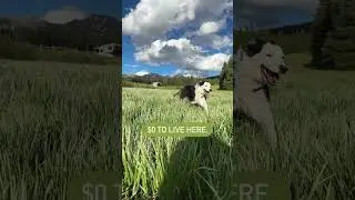 RV Life Budget Challenge [DAY 10] 