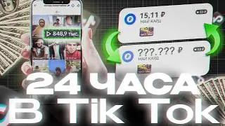 24 часа ЗАРАБАТЫВАЮ в TikTok | Сколько ЗАРАБОТАЮ?