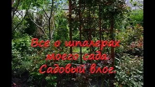 Все о шпалерах моего сада