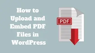 How to Upload and Embed PDF Files in WordPress