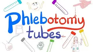 Phlebotomy Test Tubes (Color-Coded) - Red, Blue, Lavender, Gold, Green, Gray - Labs