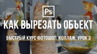 Уроки Фотошоп. Как вырезать объект и вставить на другой фон. #3