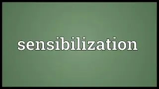 Sensibilization Meaning