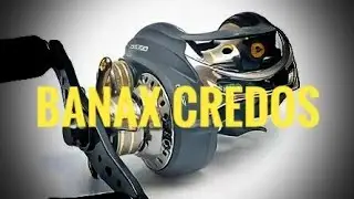 BANAX CREDOS Корейский Мульт. Студийный обZZZор с раZZZборкой