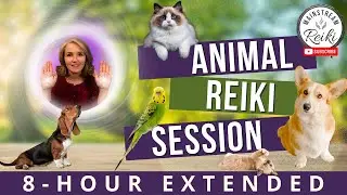 8-Hour Animal Reiki Session | Calm and Healing for Your Pets 🐾