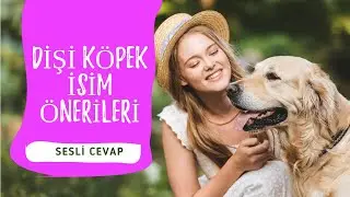En Güzel Dişi Köpek İsimleri