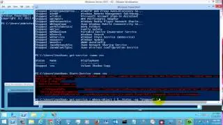 Windows Powershell Tutorial - Start-Service