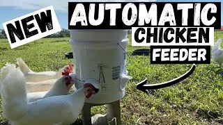 DIY Automatic Chicken Feeder!