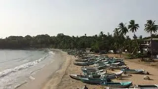 Arugam. ..