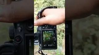 Sony A7iii Photography With 85mm f1.8. #shorts #photography #trending #sony |