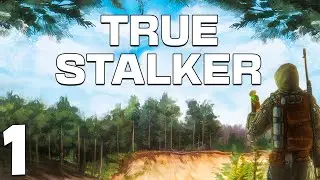 S.T.A.L.K.E.R. True Stalker #1. Настоящий Сталкер