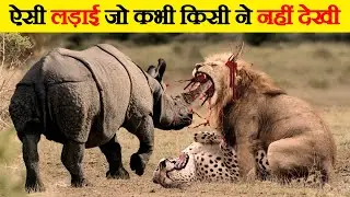 जंगली जानवरों की सबसे भयंकर लड़ाइयां | Craziest Fights of Wild Animals | Animal Fights in Hindi