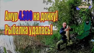 Амур 4.300 на донку! рыбалка удалась! /// Рыбалка на Кубани 2022 /// Выпуск № 24