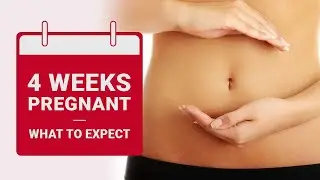 4 Weeks Pregnant - What to Expect | Pregnancy Week By Week