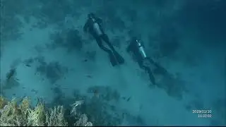 EGYPT: Red Sea snorkeling. Красное море , Шарм-эш-Шейх, пляж отеля Sierra Resort 5*