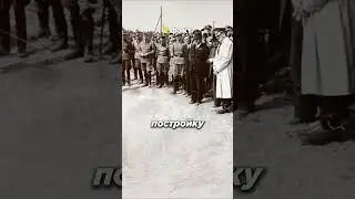 5 Фактов о Маусе