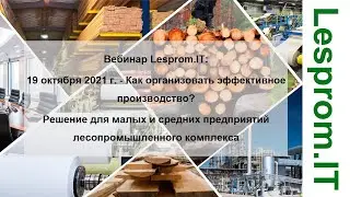 «Как организовать эффективное производство? Решение для малых и средних лесопильных предприятий»