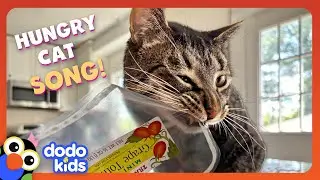 🎵🎶 Gimme Dat! (The Hungriest Cat In The World) MUSIC VIDEO SONG 🎵🎶 | Dodo Kids | Music For Kids