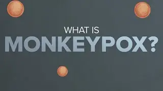 Explainer: What is monkeypox?