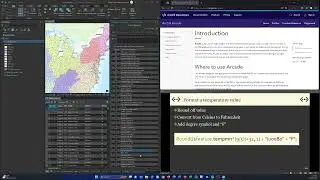 ArcGIS Arcade Languages/Expressions